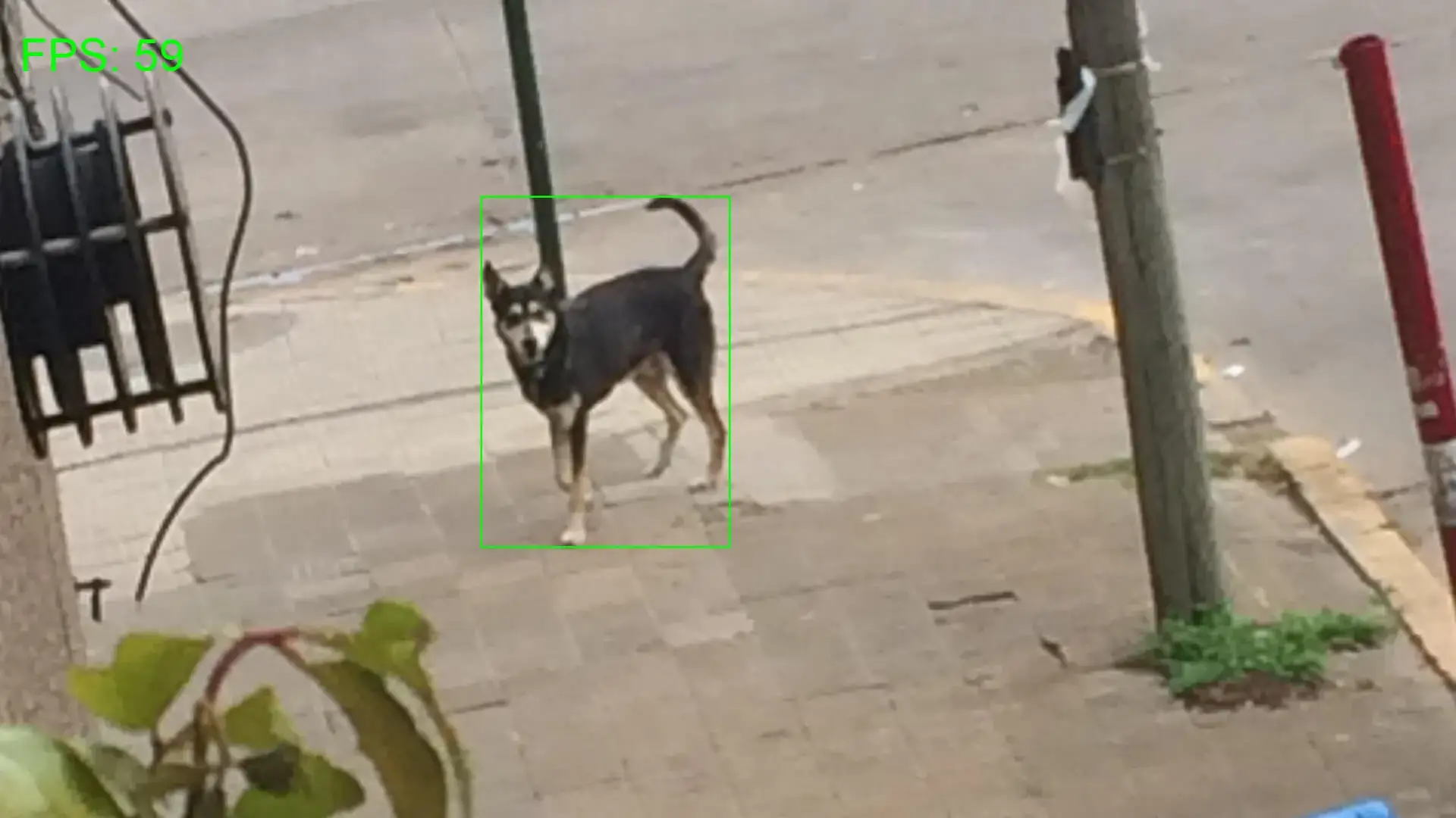 Motion Detection System screenshot